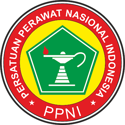 Website Pemerintah Terkini Persatuan Perawat Nasional Indonesia Kota Meureudu